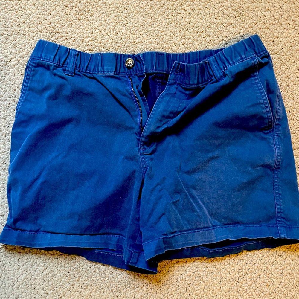 Bearbottom Stretch Shorts